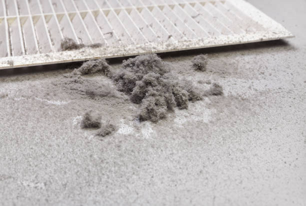 Best Air Duct Cleaning Near Me  in Trenton, GA