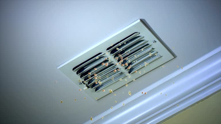 Best Best Air Duct Cleaning Near Me  in Trenton, GA