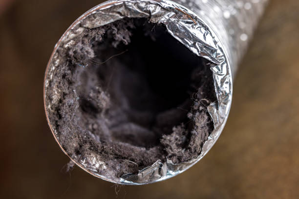 Best Affordable Duct Cleaning Services  in Trenton, GA