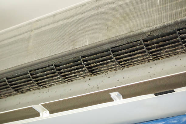 Best HVAC System Cleaning  in Trenton, GA