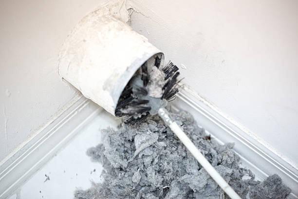 Best Local Air Duct Cleaning Services  in Trenton, GA